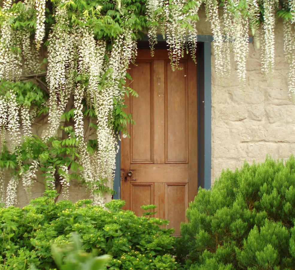 Lauder Muddy Creek Cutting B&B 외부 사진